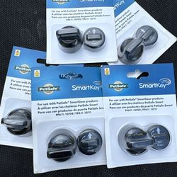 Pet Smart Key Battery 