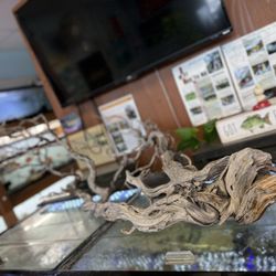 Premium Manzanita Driftwood - Hand-Selected by Tom Barr - Manzy Wood 🪵 Aquarium Aquascape Planted Fish Tanks 
