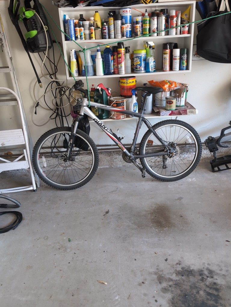 Giant Men's Bike
