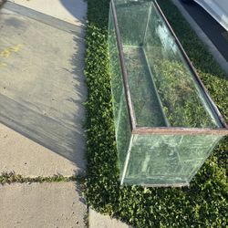 Free 100 Gallon Fish Tank 