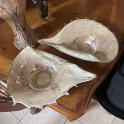 Decorative Glass Shells