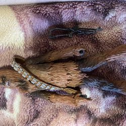 Star Wars Black Series Chewbacca 