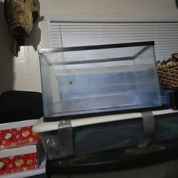 10 Gallon Tank With New Steel Stand