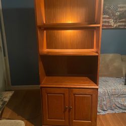 Wooden Light Up Bookcase