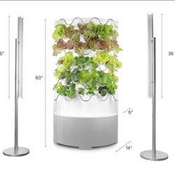 Vertical Hydroponic Garden
