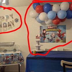 Spidey &Friends Birthday Decorations 