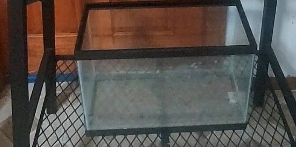 10 Gallon Tank