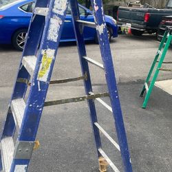 Werner 6 Ft Electricians Ladder