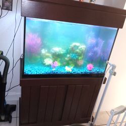 55 Gallon Fish Tank