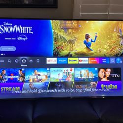 65-inch TV Vizio D-Series UHD 3840x2160 LED Smart TV D65-E0+ Fire Stick 4K,