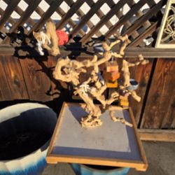 Bird Activity Play CENTER