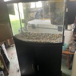 Fish Tank & Stand