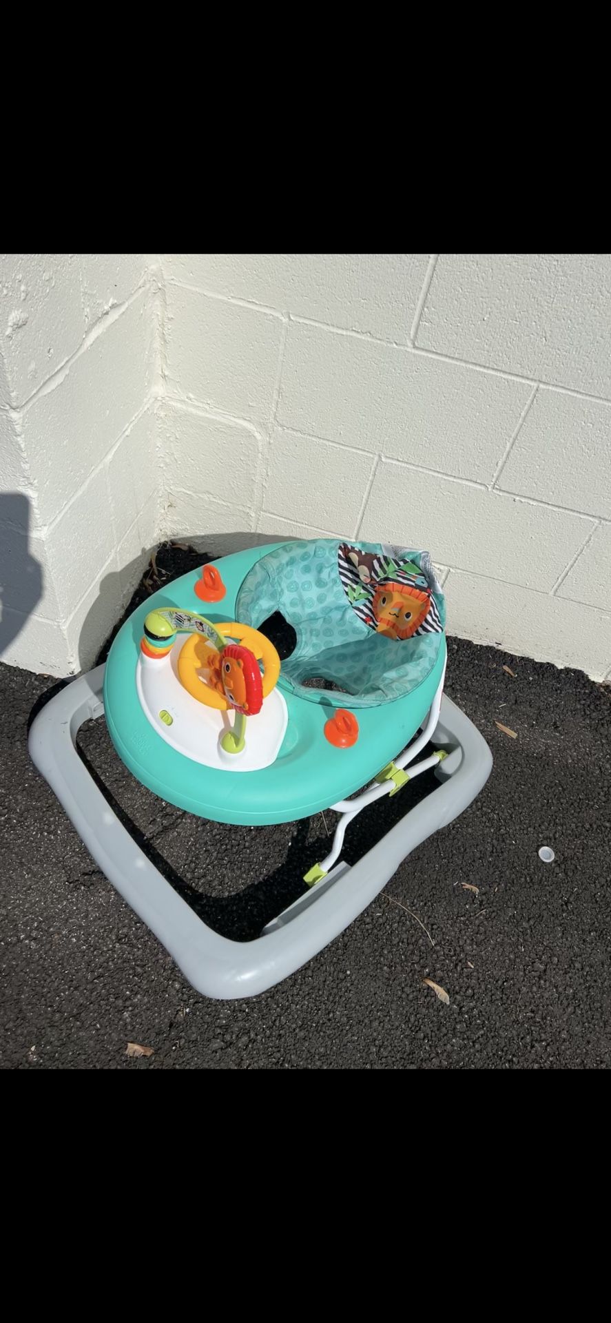 Baby Walker