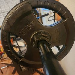 (2)  45 lb weights plates  2"