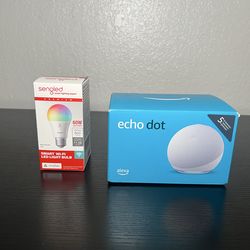 Echo Dot /w WiFi light bulb