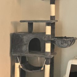 Cat House