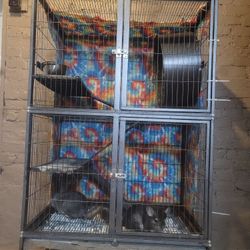 Cage With Everything 