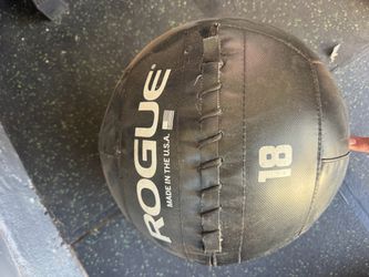 Rogue 18 lb Medicine Wall Ball