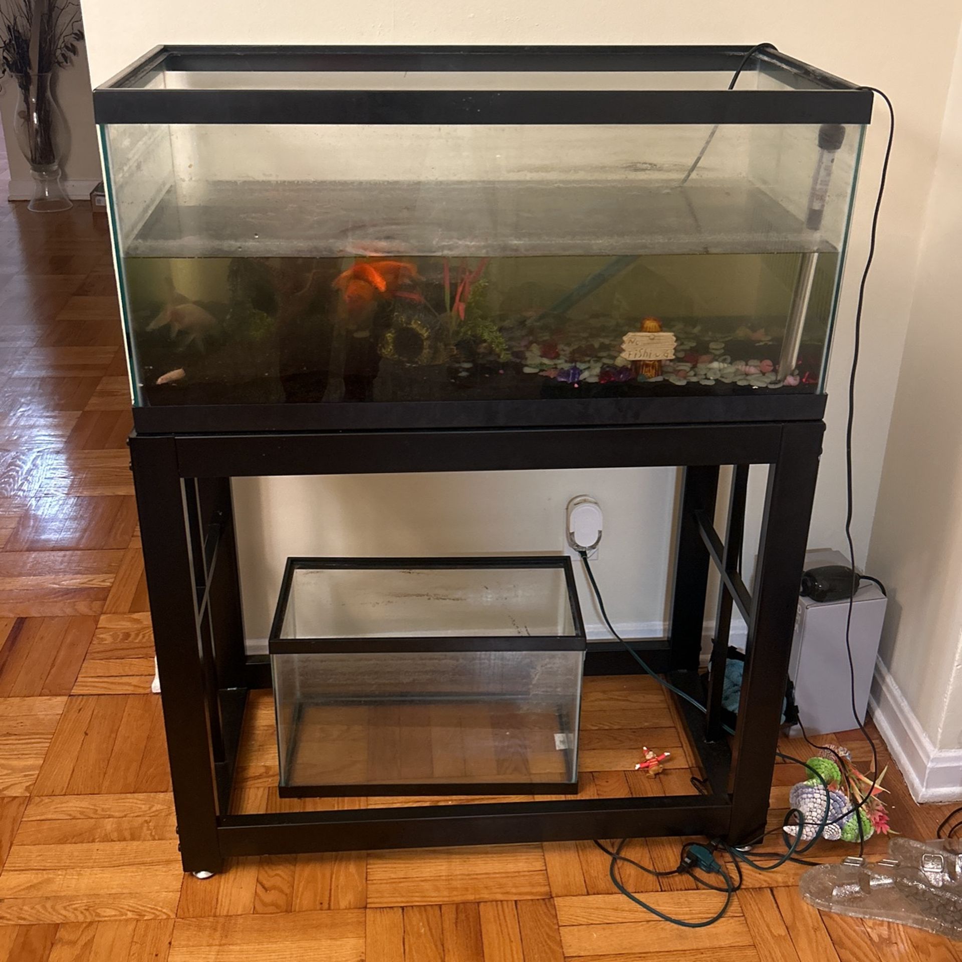 Fish Tank