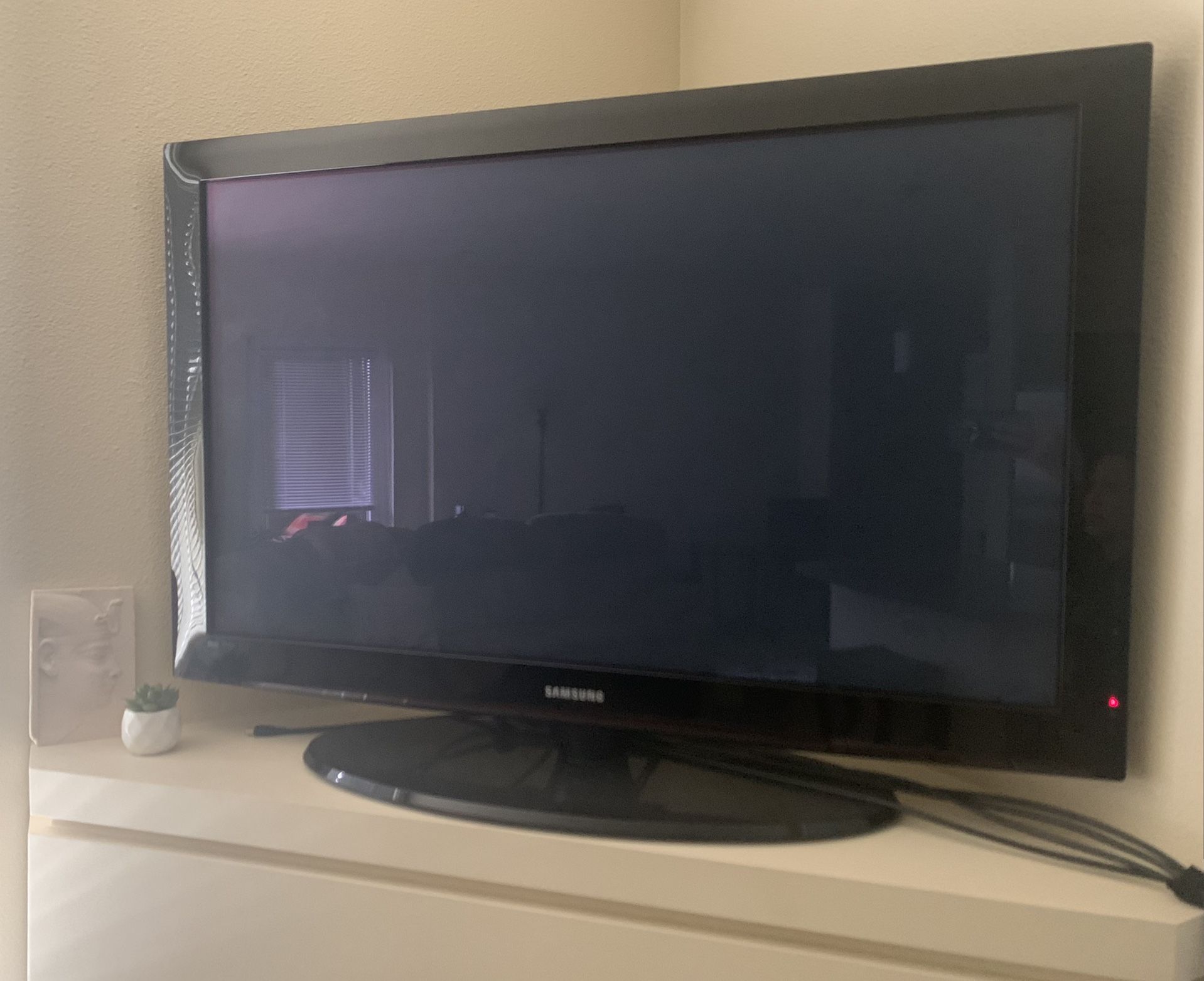 42” Plasma Flat Screen TV
