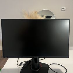 ASUS TUF 24.’5” 280HZ Gaming Monitor