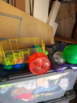 Rodent stuff