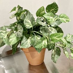 Potted Artificial Ivy Plant 