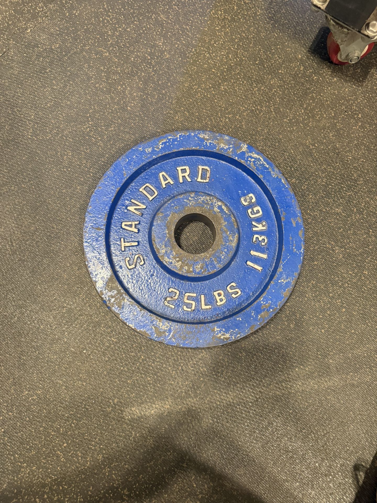 Single 25lb Plate