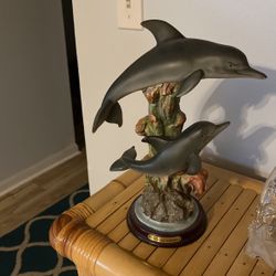 Dolfin’s
