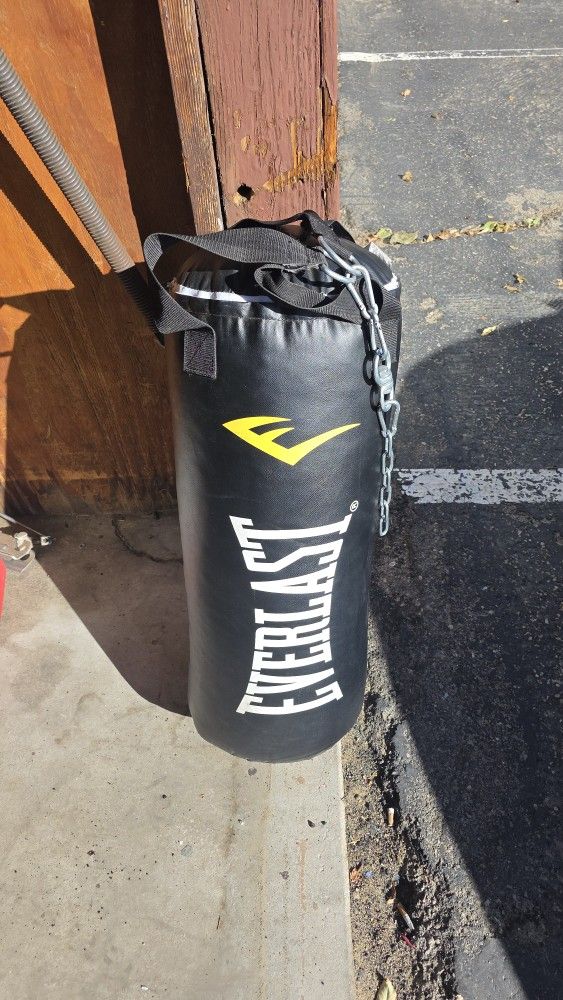 Punching Bag  Everlast New
