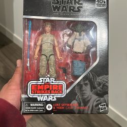 Luke Skywalker & Yoda Star Wars 