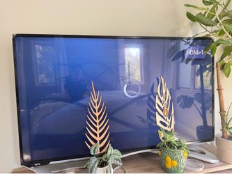 80 inch tv/screen