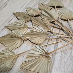 Boho Dried Palm Spear Leaves 12 pieces