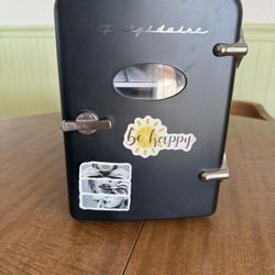 Mini Fridge 