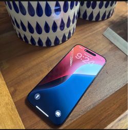 iPhone 16 Pro MAX (256 GB)