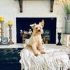 RUSTIC JUNKIE