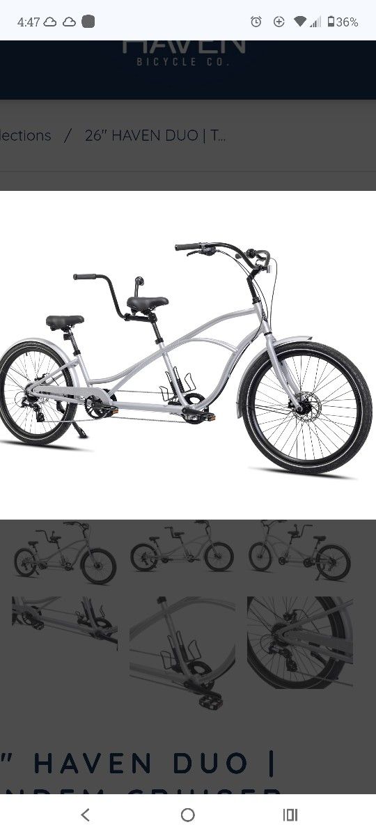 2 Seater Beach Bike