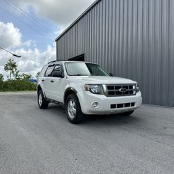 2009 Ford Escape XLT