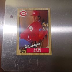 Pete Rose , Topps Cincinnati Manager Baseball Card 