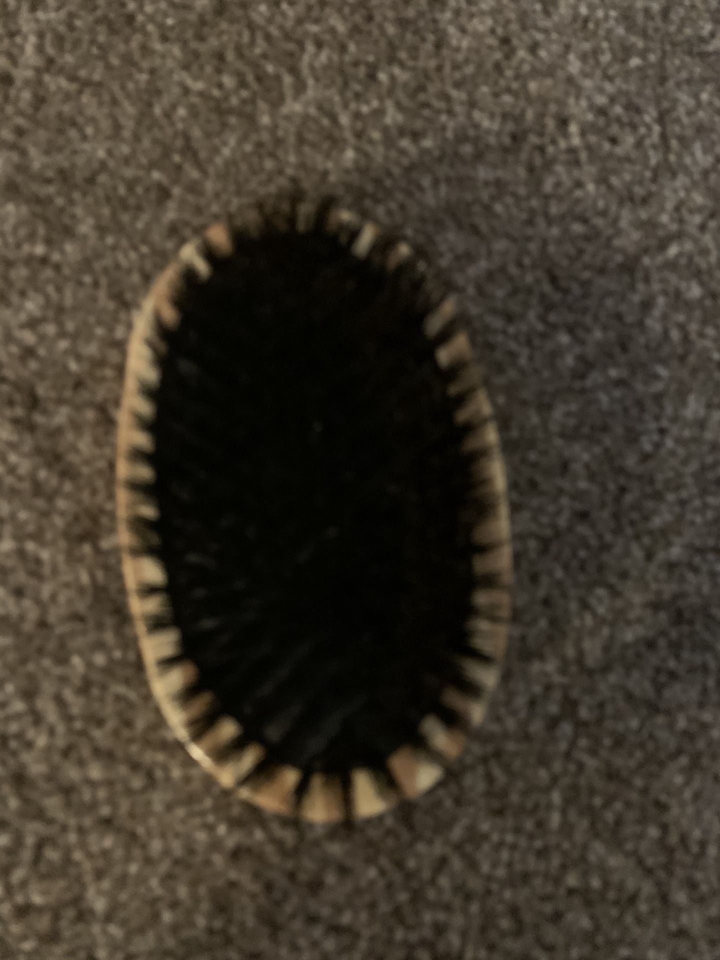 Dog brush