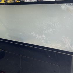 55 Gallon Aquarium
