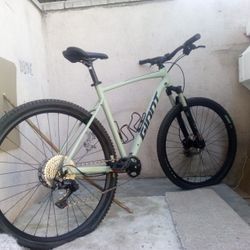 Giant Maxxis