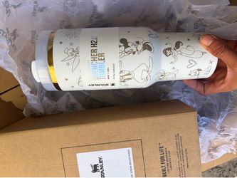 Stanley Tumblers 40oz Disney & LV