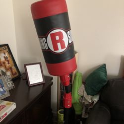 Used Youth Ring R Side Punching Bag