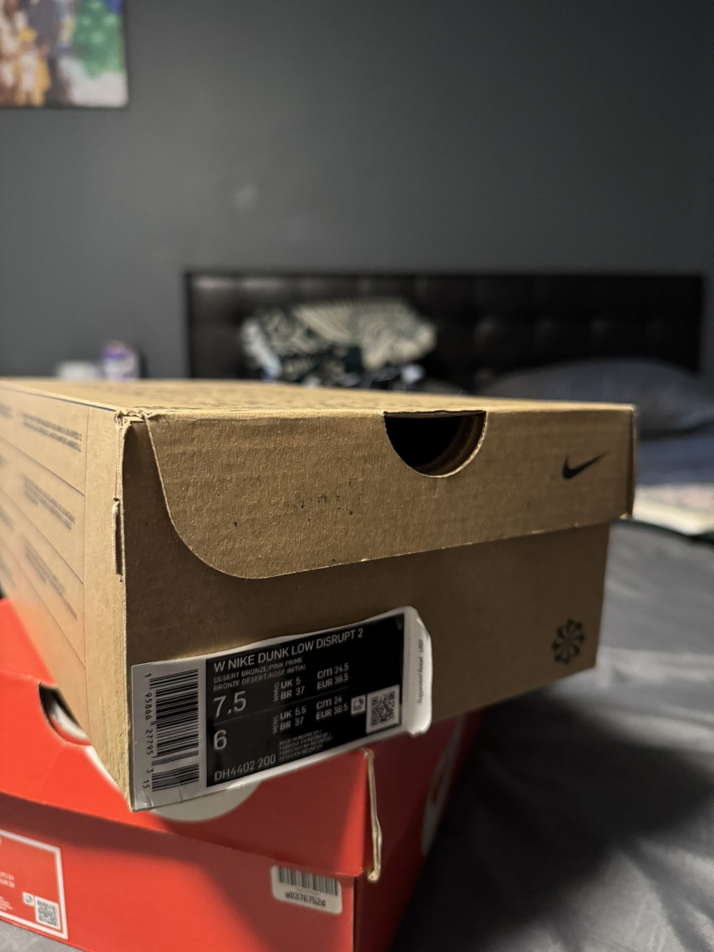 Women’s Nike Dunks