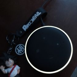 Echo Dot 3 & Amazon Wrist Band Combo !!!! Very Low Price!!!! Negotiate A Price Excepted !!!