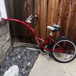 WeeRide Pro-Pilot Tagalong Bike Trailer.