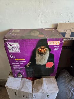 Home Accents Holiday 6ft Animated LED Sorcerer