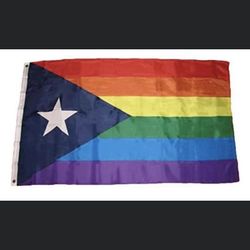 Pride Flags  $20 Large   $5 Lil Hand Held Ones 