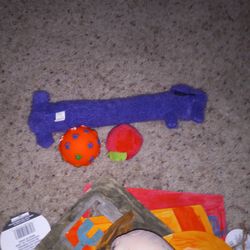 Dog Toys